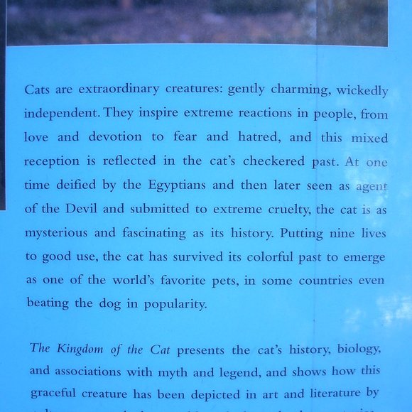 The Kingdom of the Cat by Roni Jay - Picture 14 of 16